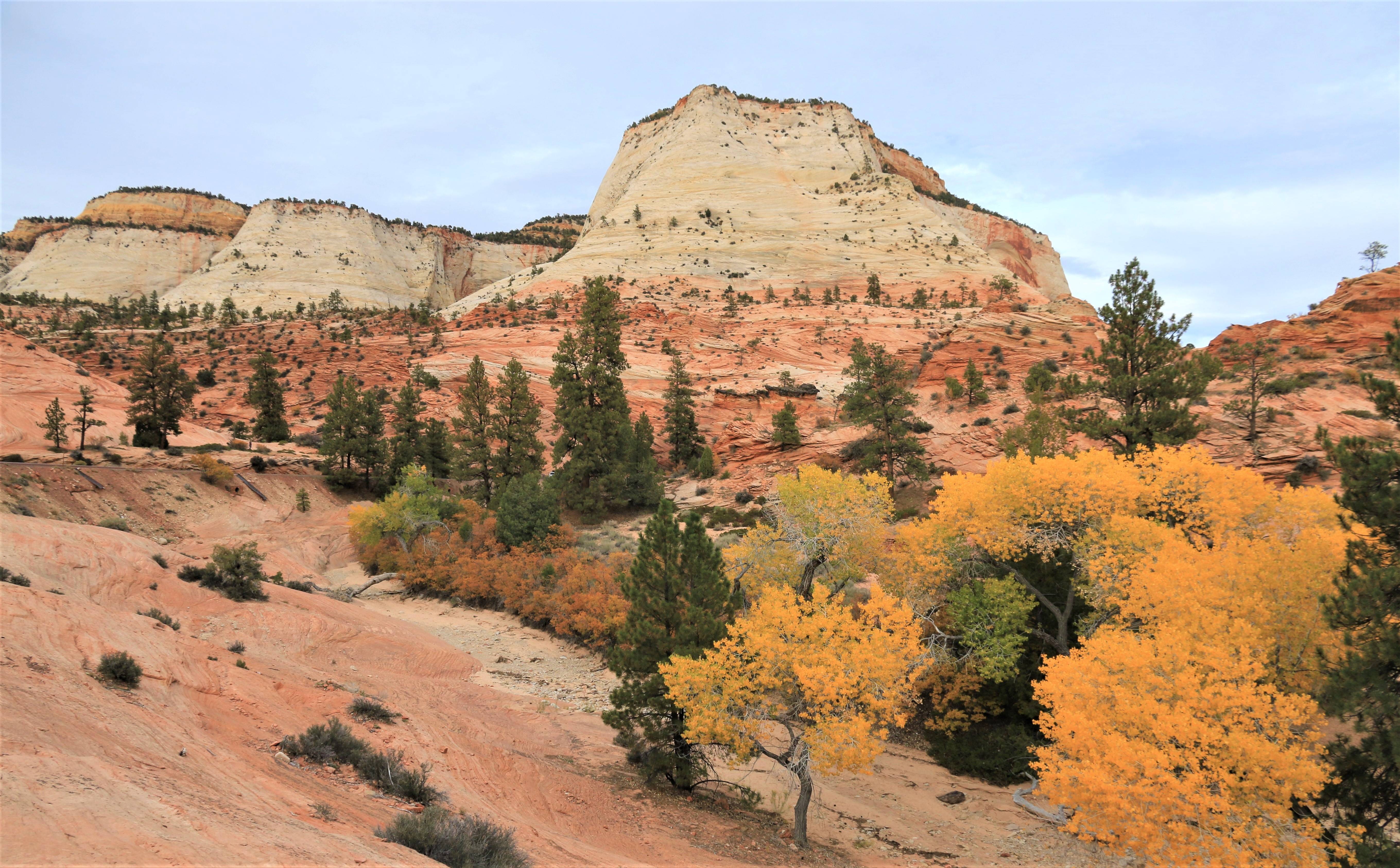 Zion NP